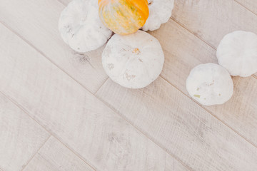 Baby boo white pumpkins on bright wooden table