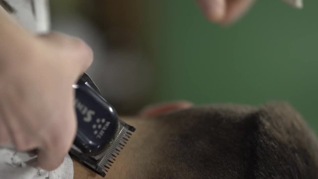 Barberman's hands cutting hair of client's head with hairclipper. Vertical format. Close-up concept.