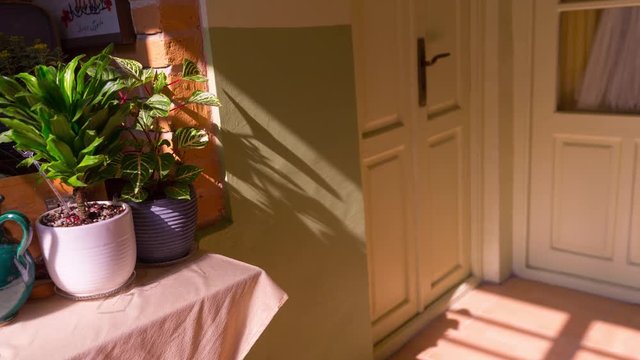 movement of shadow on the wall is movement of sun on the sky .attention to the shadow.