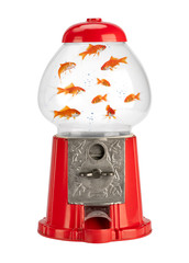 Concept of selling aquarium fish