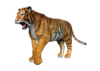 3D Rendering Big Cat Tiger on White