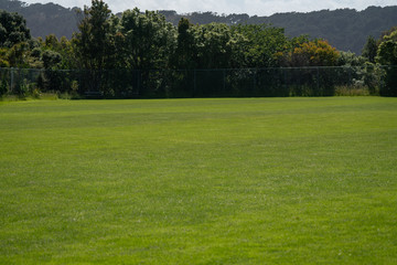 Fototapeta na wymiar Sports field in a park