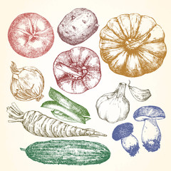Hand-drawn illustration of vegetables, vector