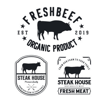 Vintage Cattle. Steak House / Beef logo design inspiration. Grill Restaurant emblem - Vector