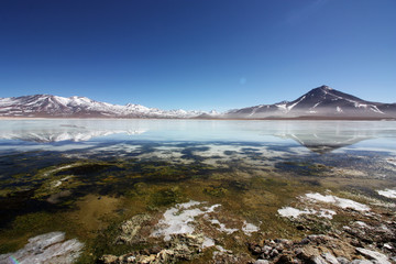 Laguna blanca in Bolivia