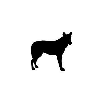 Coyote Vector Icon. Coyote Sign On White Background. Coyote Icon For Web And App