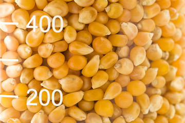 Flask filled with grains of corn