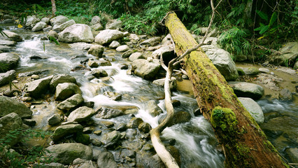stream, water falls in nature 