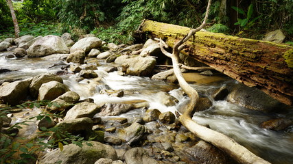 stream, water falls in nature 