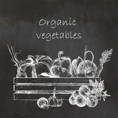 Hand-drawn illustration of vegetables in box. Vector