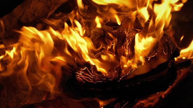 Book Pages Curling And Burning In Fire