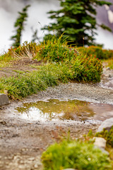 puddles along a hiking trail with foggy landscape