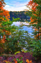 View over the branches at the blue lake.