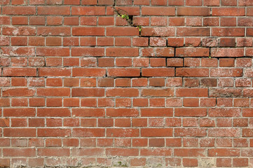 レンガ壁のひび割れ