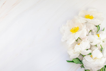 White peony flowers on marble background