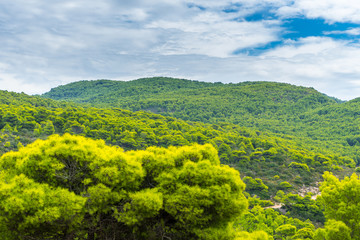Greece, Zakynthos, Mountainous nature landscape covered by shiny green pine trees