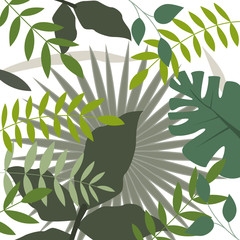 Dschungel © Jana Mossmann