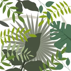 Dschungel © Jana Mossmann