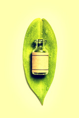 A glass bottle on the leaves