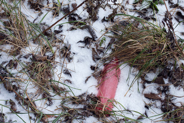 Pink plastic bottle on the snow