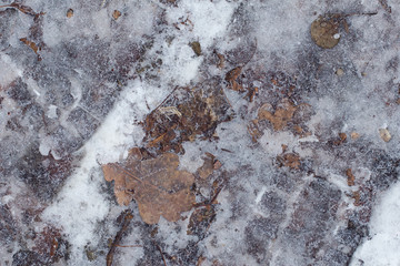 background of autumn leaves in the frost
