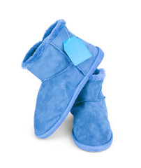 Female shoes on a white background