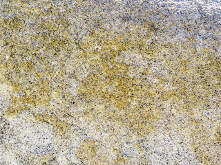 Yellow and white lichen on stone background texture