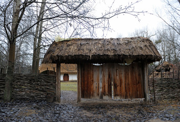 View of  gate, fence and Ukrainian traditional rural household  on a background
