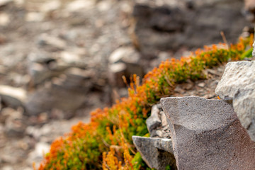 sharp cracked rocks along the slope of mount rainier