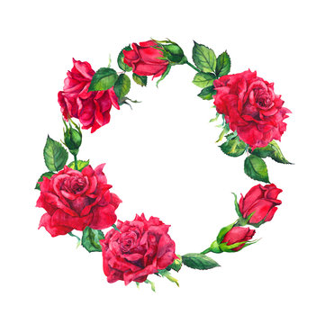 Red roses - wreath. Watercolor with rose flowers, buds for Valentine day