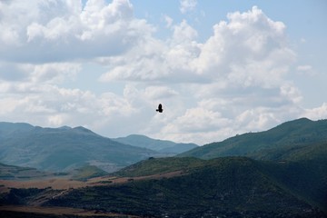 a bird flies over a mountain valley