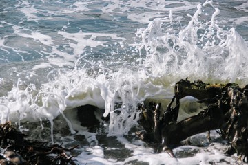 a wave breaks on a wooden stick