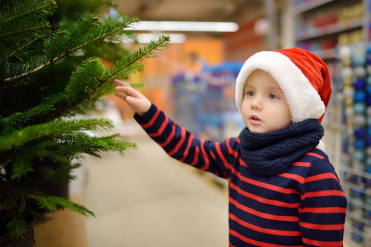 Cute little boy chooses christmas tree on market. Family Christmas shopping.