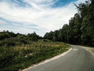 Fototapeta na wymiar Forest road in Wiezyca, Kashubian Region, Poland.