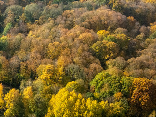 vue aérienne de la forêt à l'automne à Lainville-en-Vexin en France