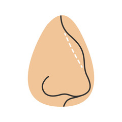 Rhinoplasty color icon