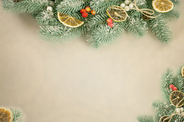 Festive greeting card. Winter  christmas background with copy space.  dried citrus, tree branches, beautiful cones.