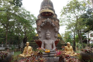 Outdoor temple garden Thailand