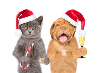 Kitten and puppy in red christmas hats with glass of champagne and candy cane. isolated on white background