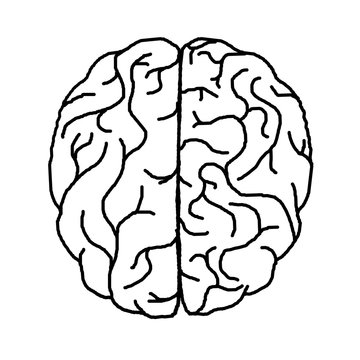 Human brain pattern
