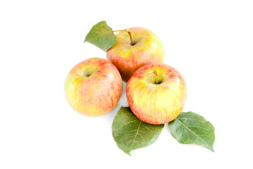 Apples with elves isolated on white background.