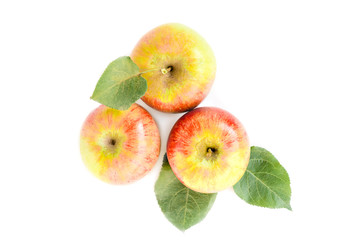 Apples with elves isolated on white background.