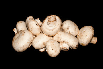 mushrooms isolated on black background