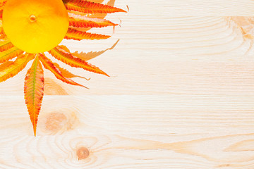 Festive bright light background juicy yellow mandarin and branch with orange leaves