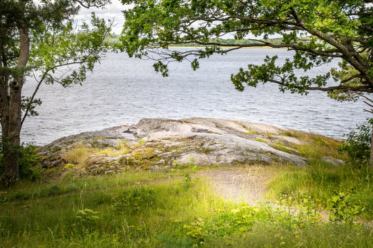 Beautiful peaceful and tranquil summer view of a path to a glade by the water with tree, grass and rock.