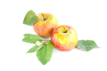 Apples with elves isolated on white background.