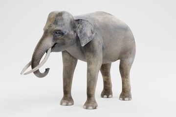 Fototapeta na wymiar Realistic 3D Render of Asian Elephant - Male