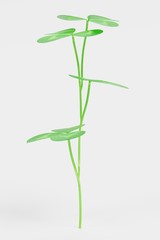 Realistic 3D Render of Clover Plant