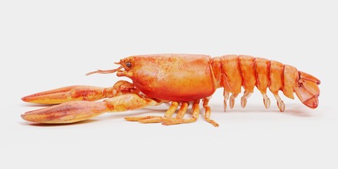 Realistic 3D Render of Cooked Lobster