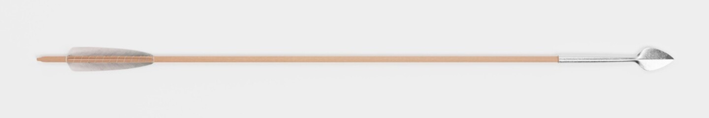 Realistic 3D Render of Viking Arrow